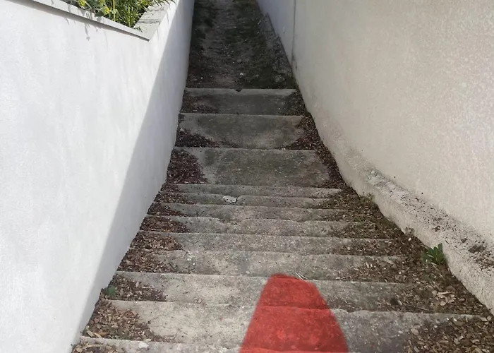 Independent Garden Pool &